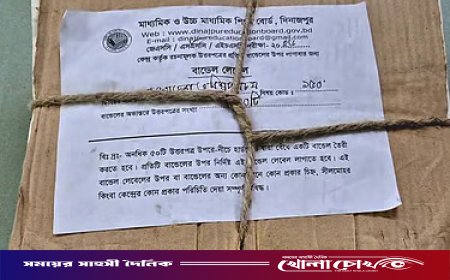 স্কুলের খেলার মাঠের কোনে পড়ে ছিলো এসএসসির ৫০টি উত্তরপত্র
