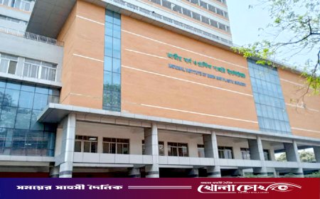 নারায়ণগঞ্জে গ্যাস বিস্ফোরণ: স্বামী-সন্তানদের পর চলে গেলেন সালমাও, পরিবারের কেউই বেঁচে রইল না