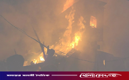 মিয়ারহাট বন্দরে অগ্নিকাণ্ডে ১৭ দোকান ভস্মীভূত, ১৫ কোটি টাকার ক্ষতি