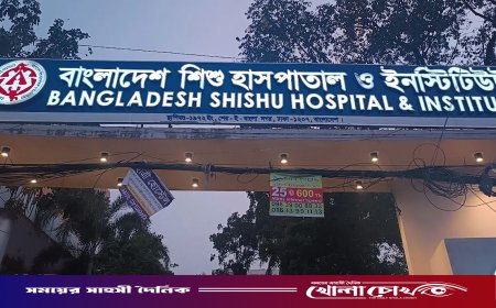 রাজধানীর শিশু হাসপাতালে ‘অবহেলায়’ প্রাণ গেল ৯ মাসের শিশুর