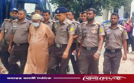 আবু সাঈদ হত্যা মামলা: সাজাপ্রাপ্ত বেরোবির সাবেক উপাচার্য হাসিবুর রশিদ ট্রাইব্যুনালে