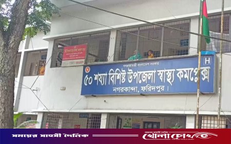 নগরকান্দায় হামের উপসর্গে ১১ মাসের শিশুর মৃত্যু, এলাকায় শোকের ছায়া