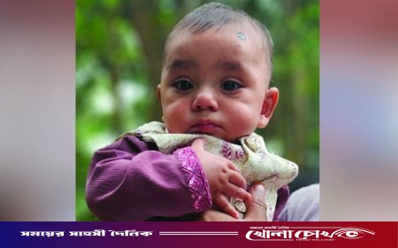 ‘সাতটি হাসপাতালে নিয়েও আমার আদরের মানিককে বাঁচাতে পারলাম না’