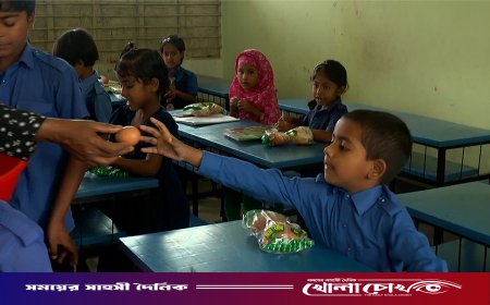 স্কুল ফিডিং প্রকল্পে ‘সাগর চুরি’, সপ্তাহে কলা-ডিমেই লোপাট ১৭ কোটি টাকা