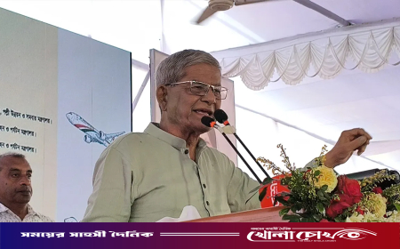 দেশের মানুষ জামায়াতকে ক্ষমতায় আনবে না : মির্জা ফখরুল