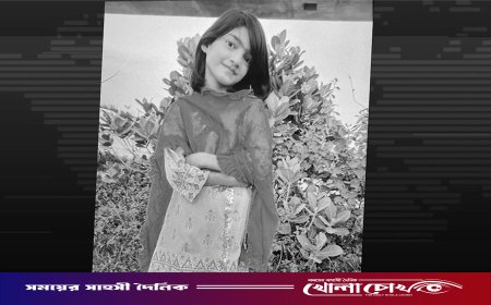 এক সপ্তাহের মধ্যে তদন্ত প্রতিবেদন জমা দিতে ডিএমপি কমিশনারকে নির্দেশ আইনমন্ত্রীর
