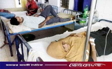 ফরিদপুরের চরভদ্রাসনে পীরের হামলায় বিধবা ভাবী ও ভাতিজা আহত: ঘর মেরামতে বাধা