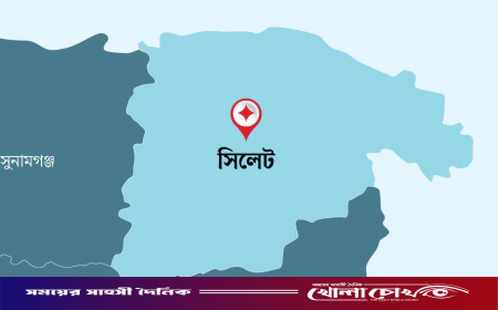 সিলেটে হামের প্রকোপে আরও ৫ শিশুর মৃত্যু, বিভাগে মোট প্রাণহানি ৪৭