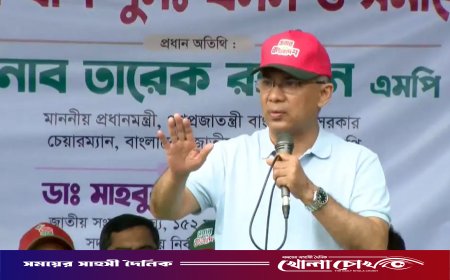 পতিত স্বৈরাচারের সঙ্গে একটি গোষ্ঠীর মিল দেখা যায় : প্রধানমন্ত্রী