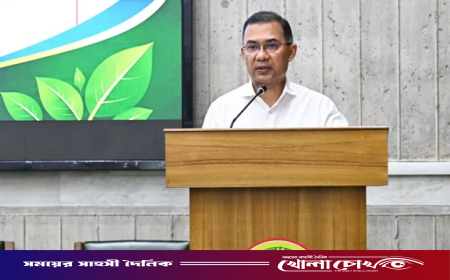 পরিচ্ছন্ন জ্বালানি ও সবুজ অর্থনীতির পথে বাংলাদেশ: প্রধানমন্ত্রী
