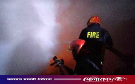 রাজধানীর বাড্ডায় চিপস কারখানায় ভয়াবহ আগুন, প্রাণ হারালেন দুই শ্রমিক