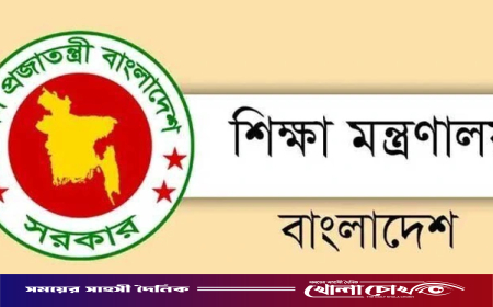 সনদ জালিয়াতি: ১১৪ মাদরাসা শিক্ষকের এমপিও বাতিল ও টাকা ফেরতের নির্দেশ