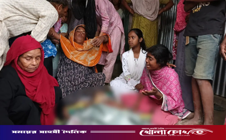 ছোট ভাইয়ের কোদালের আঘাতে প্রাণ গেল বড় ভাইয়ের
