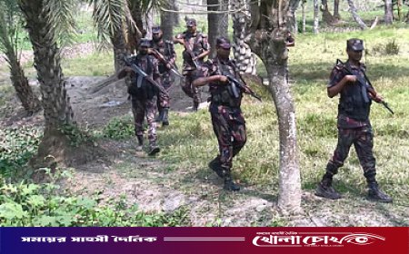 সাতক্ষীরা সীমান্তে বিএসএফের পুশব্যাকের চেষ্টা, সতর্ক অবস্থানে বিজিবি