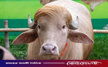‘ডোনাল্ড ট্রাম্প’ নামের বানান ভুল, চিড়িয়াখানার কিউরেটরকে বদলি