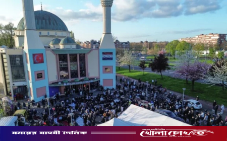 নেদারল্যান্ডসে মসজিদে হামলা ও ভাঙচুরের পর দেয়ালে প্রস্রাব