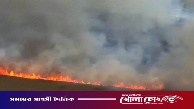 দক্ষিণ ফ্লোরিডায় ভয়াবহ দাবানল: পুড়ে ছারখার ৭ হাজার একর বনভূমি