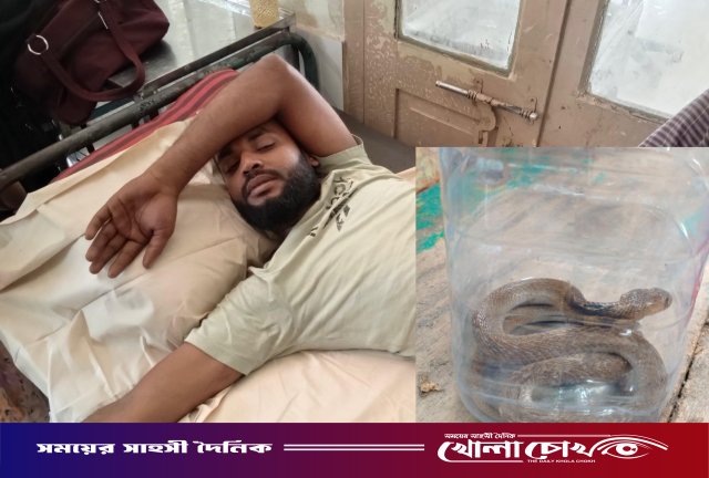 কামড় দেওয়া জীবিত সাপ নিয়েই হাসপাতালে যুবক