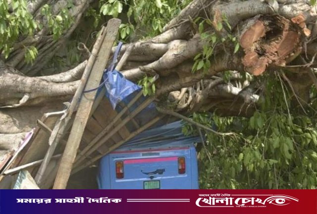 ভারতে ঝড়-বজ্রপাতে নিহতের সংখ্যা বেড়ে ৫৬: উত্তরপ্রদেশে প্রকৃতির ভয়াবহ তাণ্ডব