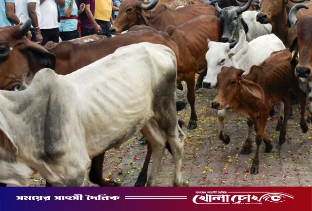 পশ্চিমবঙ্গে প্রকাশ্যে পশু জবাই নিষিদ্ধ: নতুন কড়াকড়ি আরোপ করল বিজেপি সরকার