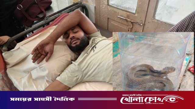 কামড় দেওয়া জীবিত সাপ নিয়েই হাসপাতালে যুবক