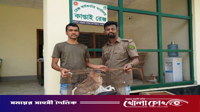 কাপ্তাইয়ে বিরল বক প্রজাতির ‘মালায়ন নাইট হিরোন’ উদ্ধার, পালালো পাচারকারীরা
