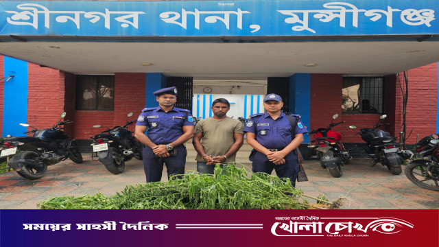 শ্রীনগরে পুলিশের অভিযানে ছয়টি গাঁজা গাছসহ মাদকচাষী গ্রেফতার
