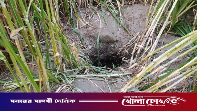 সদরপুরে গুপ্তধনের গুজবে চাঞ্চল্য: রহস্যময় গর্ত দেখতে উৎসুক মানুষের ভিড়