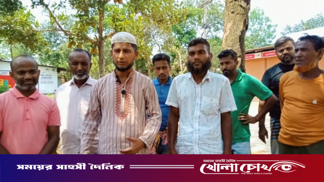 বাগদিয়ে বিলে গরু ছেড়ে শত শত মণ ধান নষ্টের অভিযোগ, দিশেহারা কৃষকরা