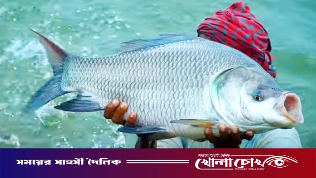হালদা নদীর বিস্ময়: একেকটি মা মাছ যেন ৪ কোটি টাকার জীবন্ত সম্পদ