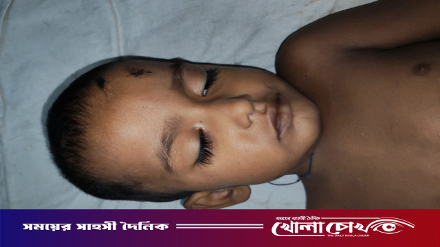ফরিদপুরে সড়ক দুর্ঘটনায় শিশুর মৃত্যু