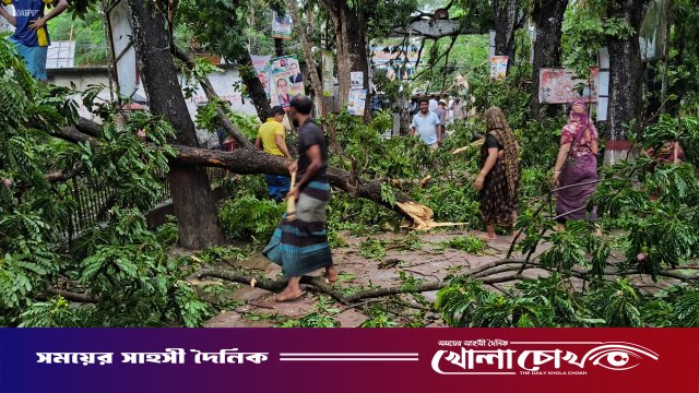 সদরপুরে কালবৈশাখী ঝড়ের ভয়াবহ তাণ্ডব: লণ্ডভণ্ড ঘরবাড়ি ও ফসলি জমি, বিপর্যস্ত জনজীবন