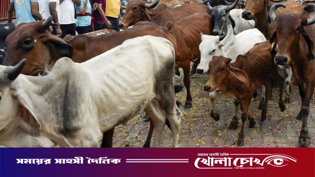 পশ্চিমবঙ্গে প্রকাশ্যে পশু জবাই নিষিদ্ধ: নতুন কড়াকড়ি আরোপ করল বিজেপি সরকার