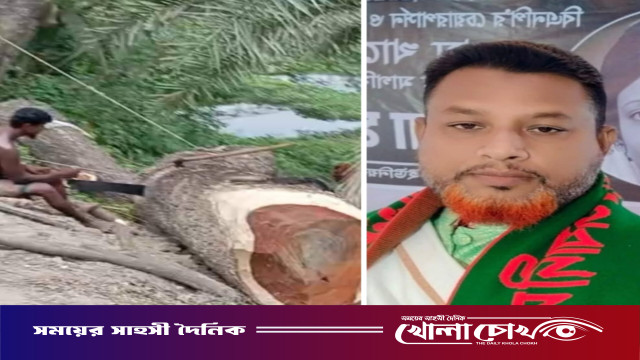 সিরাজদিখানে ইউপি সদস্যের বিরুদ্ধে সরকারি গাছ কর্তনের অভিযোগ