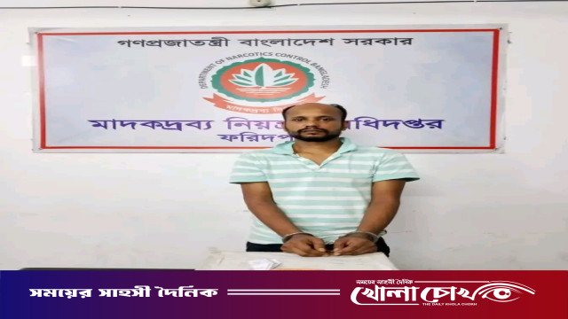 ফরিদপুরে ৫০০ পিস ইয়াবাসহ মাদক ব্যবসায়ী গ্রেফতার