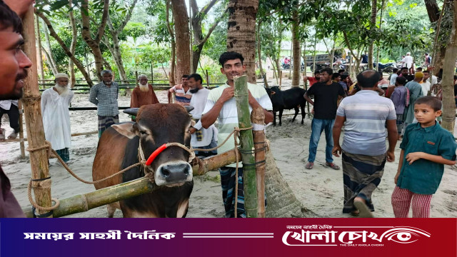ঈদের সুরে মুখর আলফাডাঙ্গার ভাটপাড়া : গরু-ছাগলের হাঁকডাকে জমে উঠেছে গ্রামবাংলার প্রাণের পশুর হাট