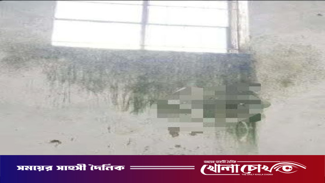 নোবিপ্রবিতে হলের দেয়ালে আপত্তিকর চিত্র