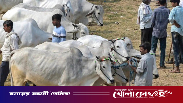 ঈদে গরু কোরবানি না করার সিদ্ধান্ত আসামের মুসলিমদের