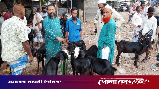 ঈদুল আযহা উপলক্ষে ফরিদপুর বিসর্জন ঘাটে জমে উঠেছে খাসি ও ছাগলের হাট