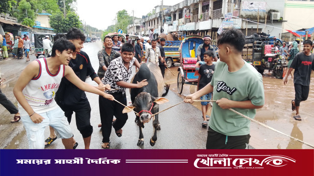 ফরিদপুরের টেপাখোলায় জমজমাট গরুর হাট