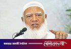 জ্বালানি তেলের মূল্যবৃদ্ধির পাঁয়তারা ধোঁকাবাজি: জামায়াত আমির