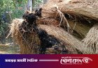 ফরিদপুরের নগরকান্দায় বিএনপির দুই পক্ষের সংঘর্ষ, আহত ১৫