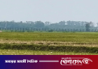 সীমান্তে জড়ো করা ব্যক্তিদের সরাল বিএসএফ