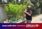 কবরের ফুলগাছ চুরি: চোরের প্রতি প্রতিশোধ নয়, পুরো গ্রামকে ফুলে সাজিয়ে অভিনব জবাব যুবকের