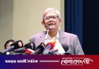 নির্বাচনের আগেই তারা আমাকে হারিয়ে দিয়েছিল : মির্জা ফখরুল