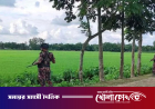লালমনিরহাট সীমান্তে পুশইন ব্যর্থ, ৩৩ জনকে ফিরিয়ে নিল বিএসএফ