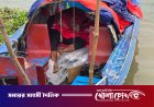 কুষ্টিয়া সীমান্তে পদ্মার চরে দুই সন্ত্রাসী বাহিনীর গোলাগুলি, নিহত ১