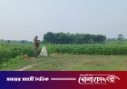 দর্শনা সীমান্ত দিয়ে ১১ জনকে পুশইনের চেষ্টা