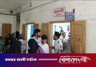 দৌলতপুরে সাপের উপদ্রব: ৮ জন আক্রান্ত, এক শিশুর মৃত্যুতে এলাকায় আতঙ্ক