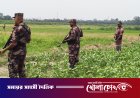 কৌশল বদলেছে বিএসএফ, পুশইনের নতুন রুট নদী আর দুর্গম অঞ্চল